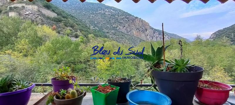 Maison ancienne - 230 m² - 8 pièces