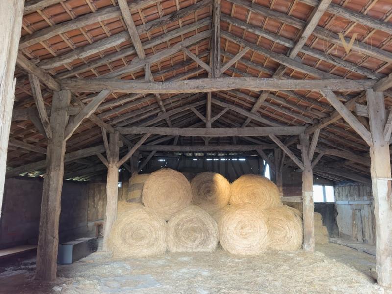 Haras - 118 m² - 6 pièces