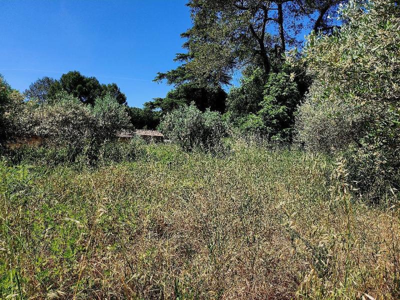Terrain constructible - 1 490 m²
