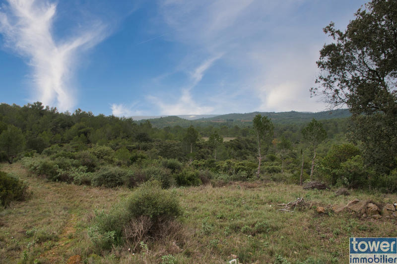 Terrain - 209 520 m²