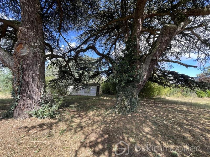 Terrain constructible - 1 848 m²