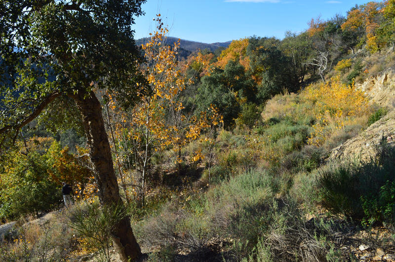 Terrain - 18 305 m²