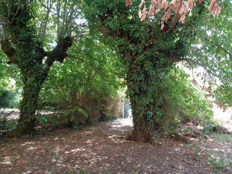 Maison traditionnelle - 230 m² - 4 pièces