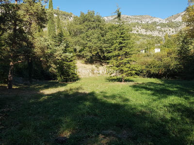 Terrain - 1 962 m²
