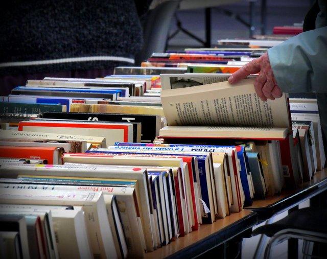 Foire aux Livres -Secours Populaire