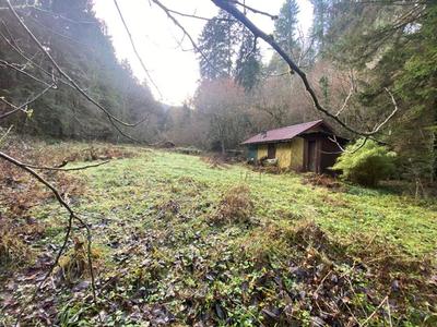 Terrain constructible - 3 197 m²