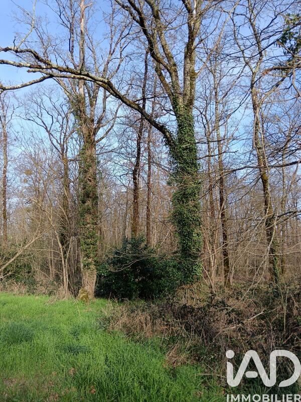 Terrain - 24 045 m²