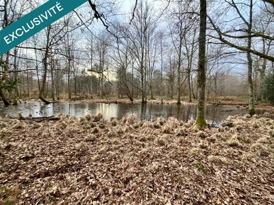 Terrain - 419 062 m²