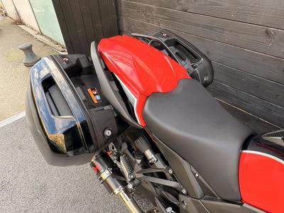 Kawasaki Ninja 1000 Sx 40th Anniversaire