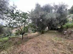 Terrain constructible - 380 m²