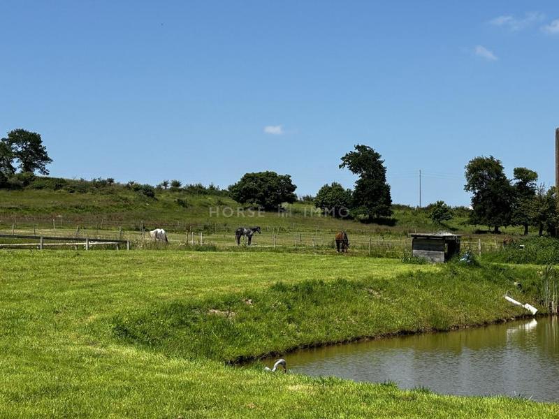 Maison de domaine équestre - 130 m² - 5 pièces