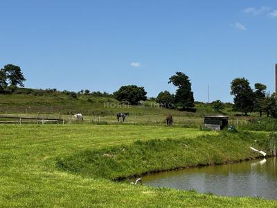 Maison de domaine équestre - 130 m² - 5 pièces