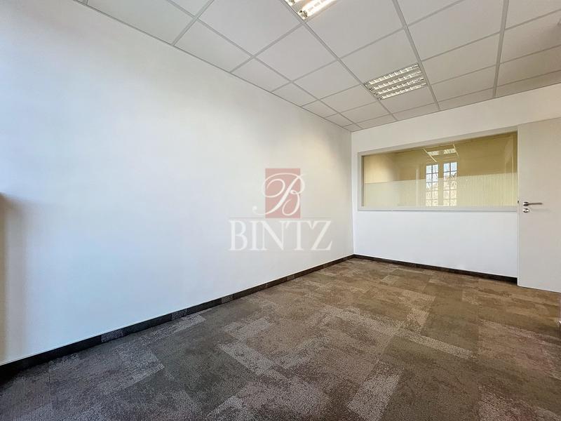 Bureau - 156 m²