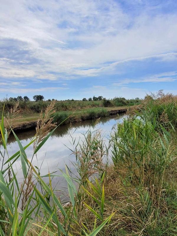 Terrain - 10 314 m²