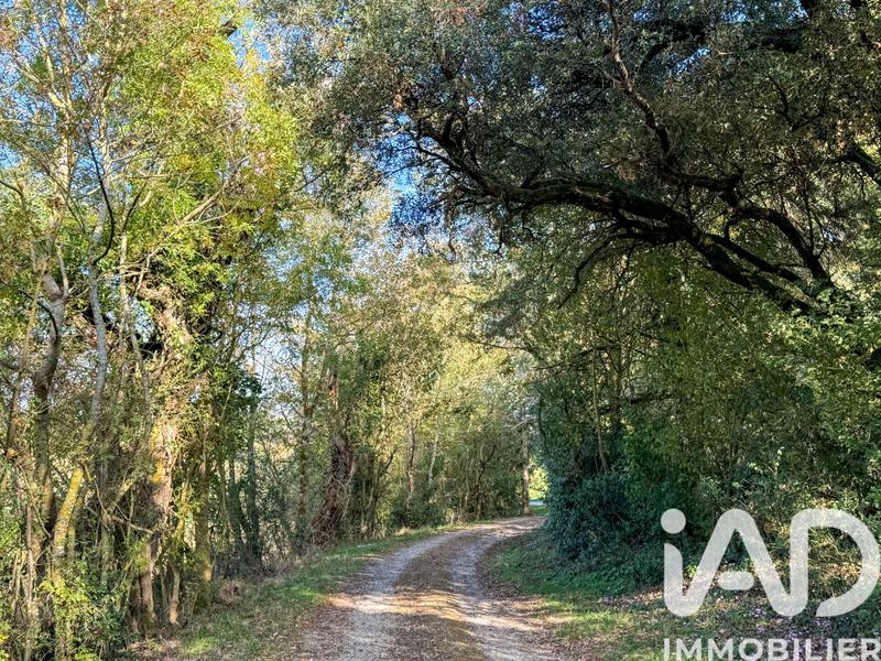 Maison - 355 m² - 10 pièces