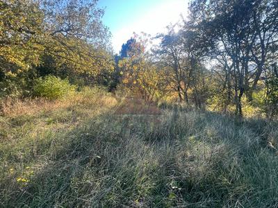 Terrain constructible - 6 000 m²