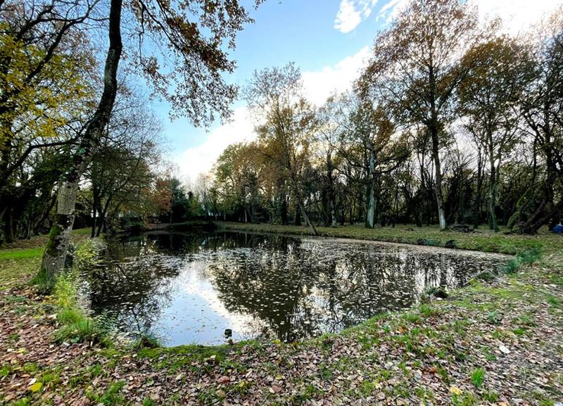 Terrain de loisirs - 8 950 m²