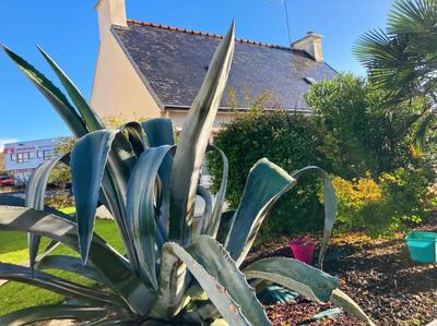 Maison - 60 m² - 3 pièces