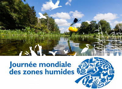 Visite et découverte d'une pisciculture