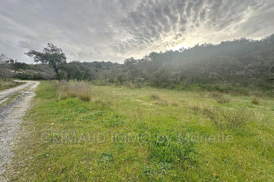 Terrain - 6 000 m²