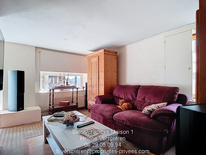 Maison - 303 m² - 19 pièces