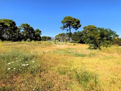 Terrain constructible