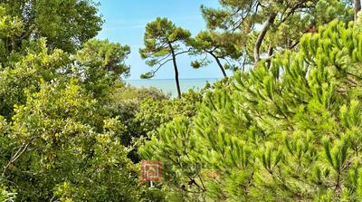 Appartement - 25 m² - 1 pièce