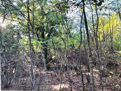 Terrain agricole - 79 305 m²