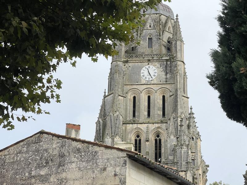 Hôtel particulier - 471 m² - 14 pièces