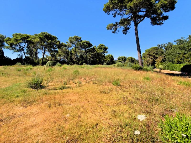 Terrain constructible - 1 000 m²