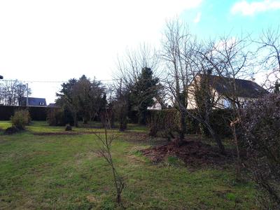 Terrain - 650 m²