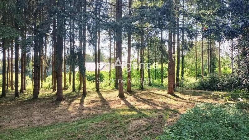 Maison ancienne - 52 m² - 3 pièces