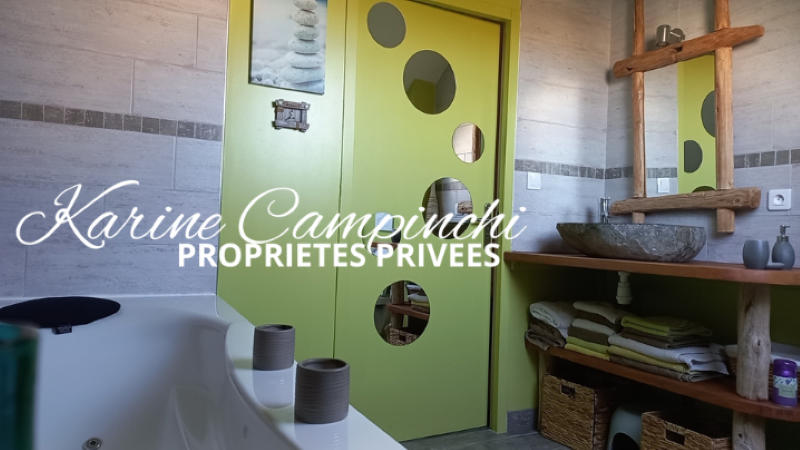 Maison - 250 m² - 7 pièces