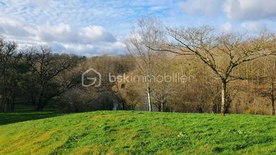 Propriété - 333 m² - 11 pièces