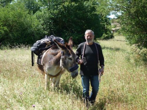 Sherp'Ânes les ânes du Causse