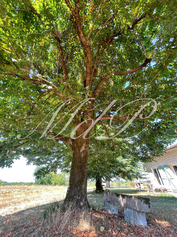 Maison de campagne - 430 m² - 10 pièces