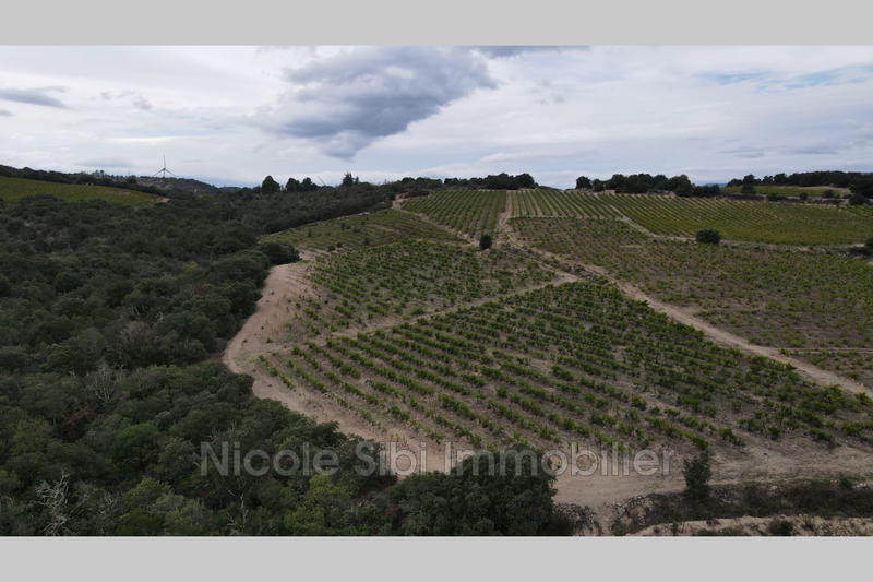 Terrain agricole - 21 183 m²