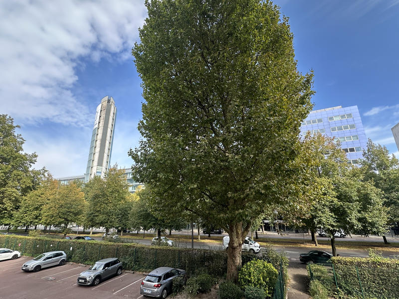 Appartement - 77 m² - 3 pièces