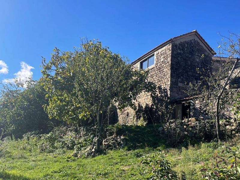 Maison provençale - 220 m² - 9 pièces