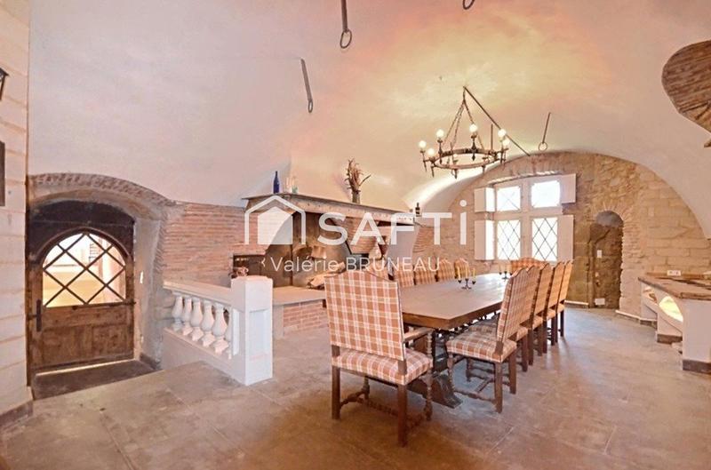 Château - 730 m² - 20 pièces