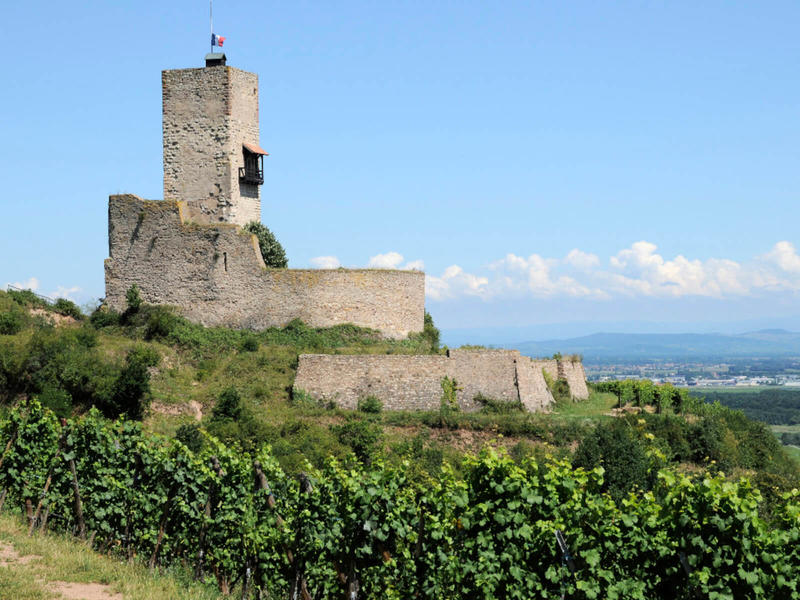 Tous aux châteaux - Journée au Wineck