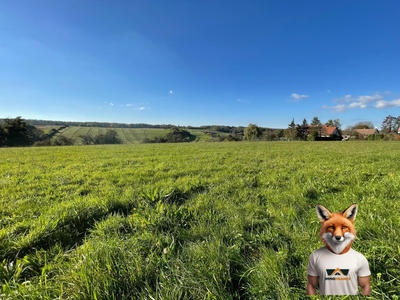 Terrain - 14 528 m²