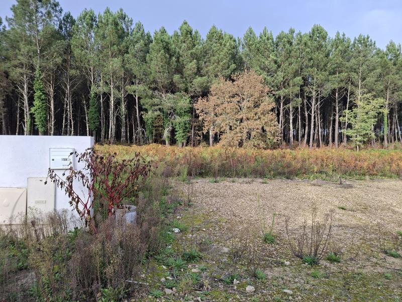 Terrain constructible - 727 m²