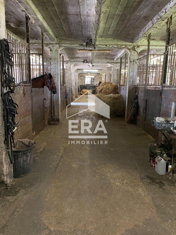 Maison de domaine équestre - 190 m² - 8 pièces