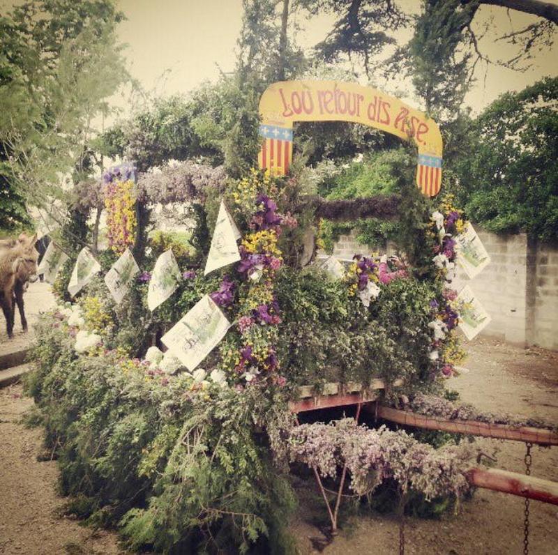 Défile de la charrette des ânes et foire aux fleurs