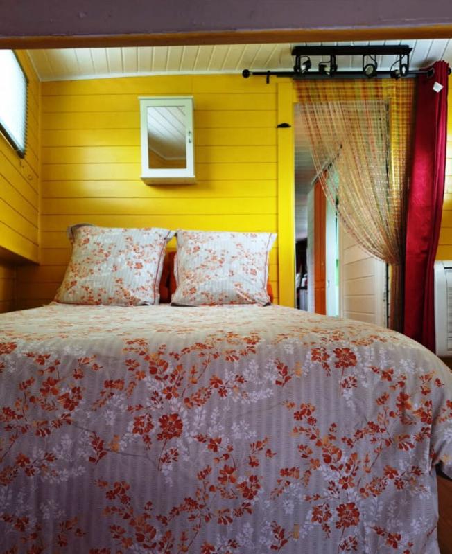 Péniche - 100 m² - 4 pièces