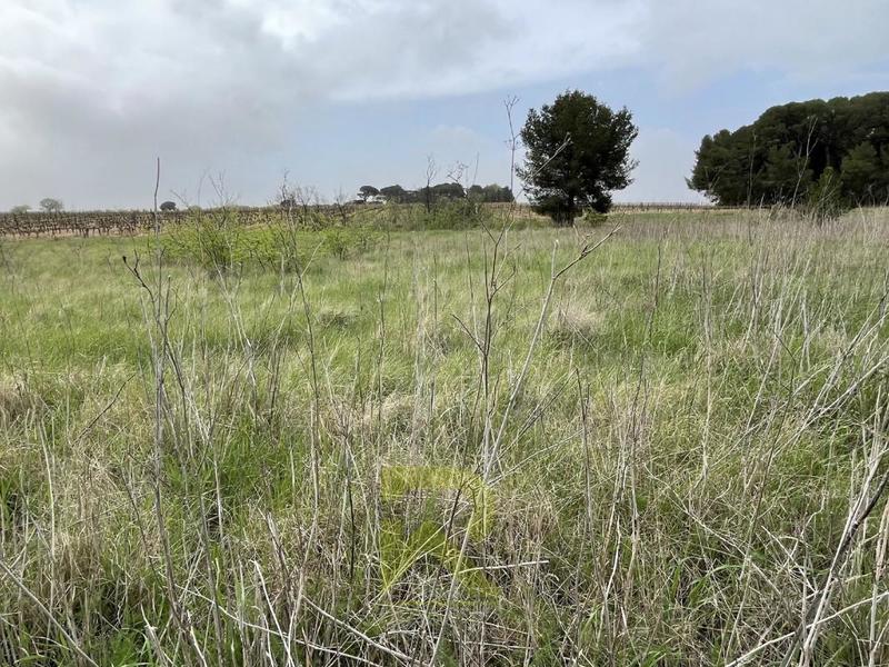 Terrain agricole - 4 800 m²