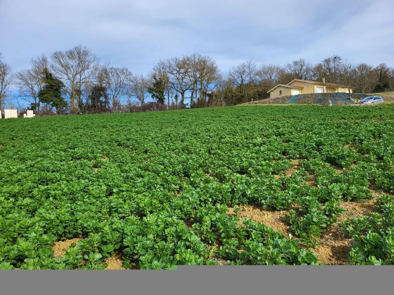 Terrain constructible - 1 148 m²