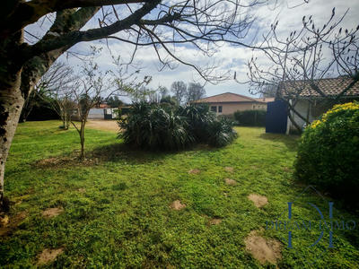 Maison - 160 m² - 5 pièces