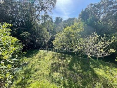 Maison - 269 m² - 14 pièces